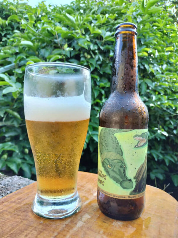 Cerveza Artesanal Beach Party
